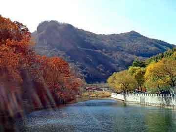 管家婆黑白马报图库，北京的市花是什么